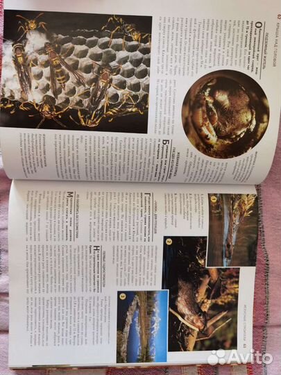 1000 чудес природы ридерз дайджест