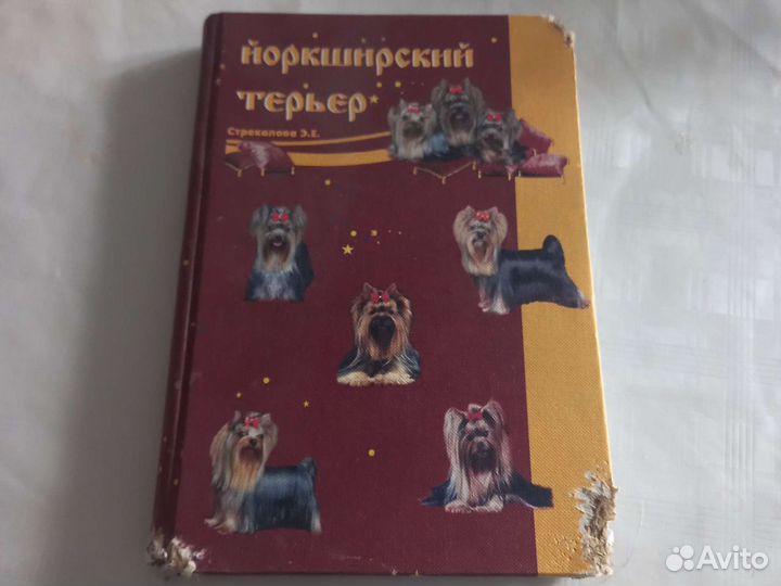 Йоркширский терьер