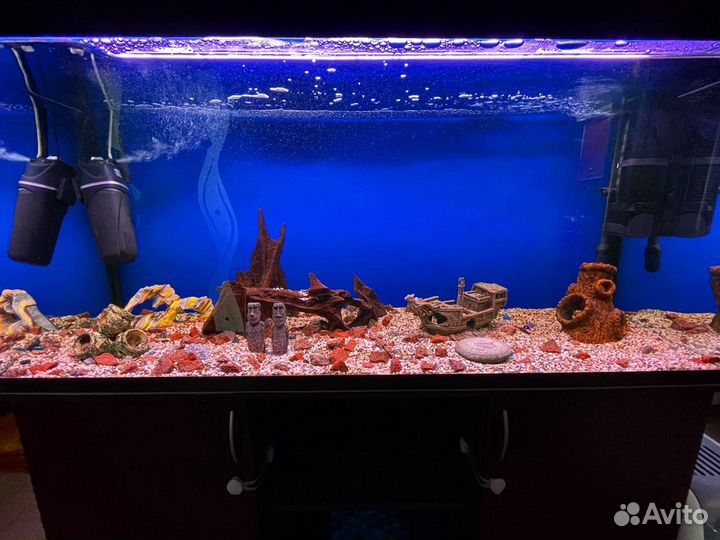 Комплект Аквариум 450 литров с оборудованием