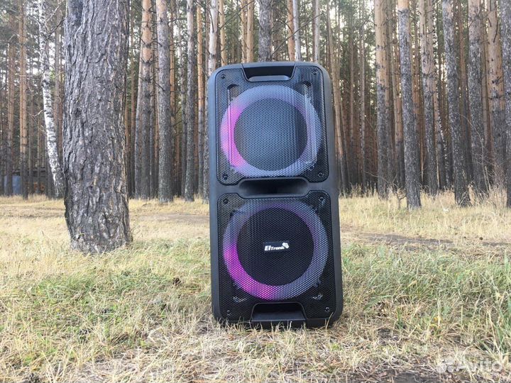 Блютуз колонка Eltronic 20-14