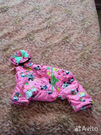 Одежда для маленькой собачки