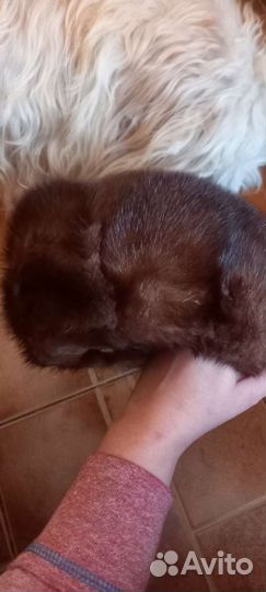 Шапка норковая женская