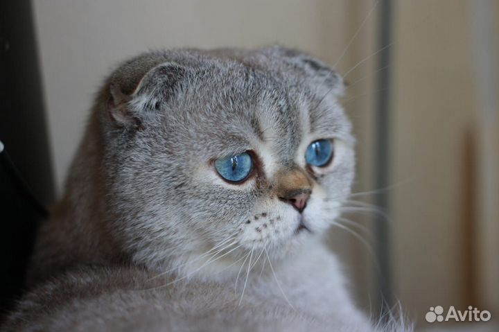 Вязки,Тоннели