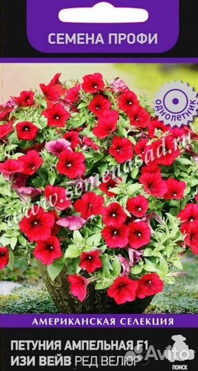 Петунии Изи Вейв Лав Скай Блю,Ред Велюр, Пинк
