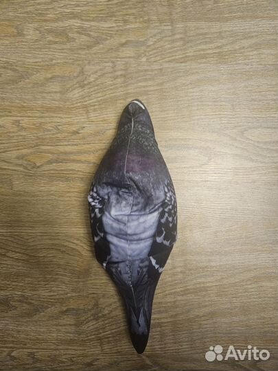 Голубь мягкий