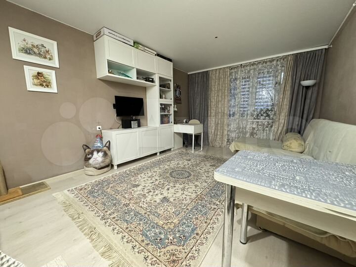 Квартира-студия, 31,5 м², 1/6 эт.