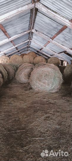 Сено в рулонах 2023