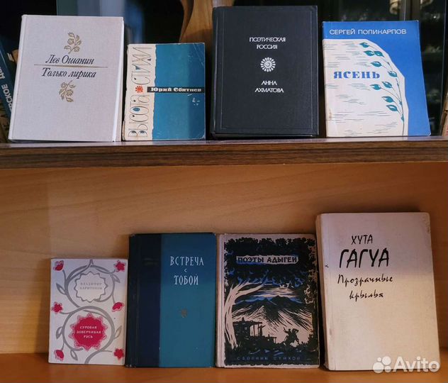 Книги : редкие и нечастые. СССР и Россия - 7