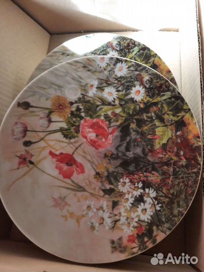 Тарелки декоративные. Чешский фарфор concordia