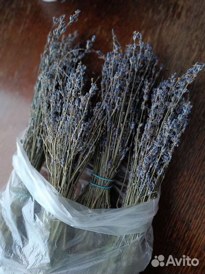 Лаванда сухоцвет
