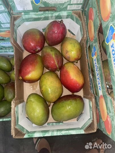 Манго израиль