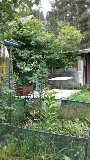 Дача 20 м² на участке 4 сот.