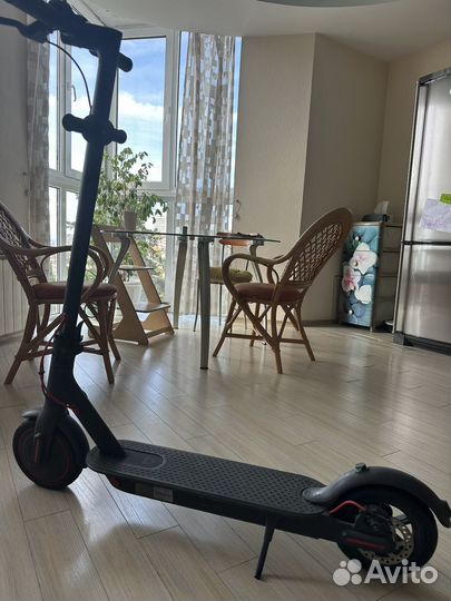 Электросамокат xiaomi m365 pro