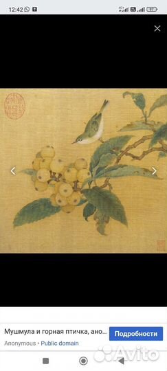 Мушмула Японская семена Свежий сбор