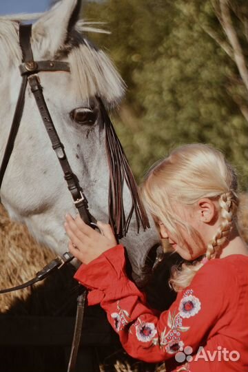 Фотосессия, услуги фотографа, фотограф