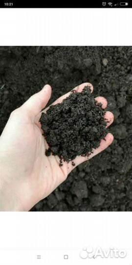 Чернозем лесной перегной. Песок речной. дрова