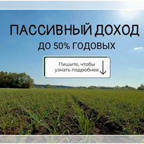 Инвестиции до 50 проц годовых