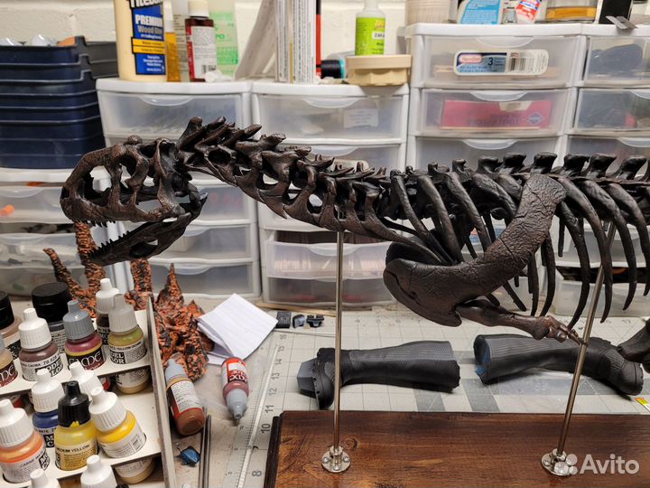 Скелет майунгазавра 1:6 (110см)