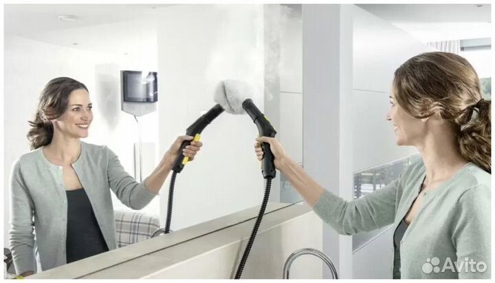 Аренда пароочистителя karcher