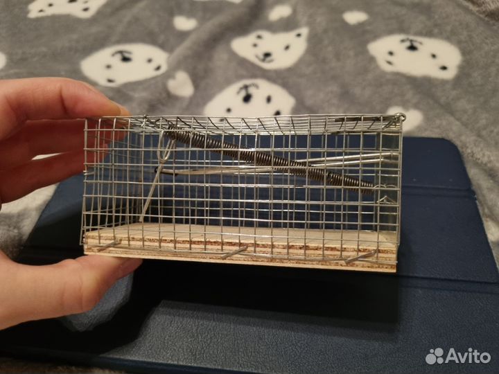 Мышеловка гуманная