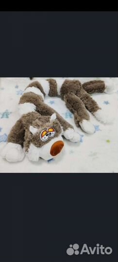 Самый лучший друг это кот