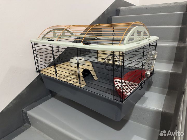 Клетка для карликового кролика морской свинки ежа