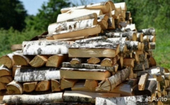 Дрова березовые