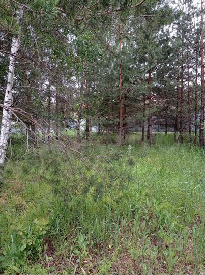 Участок 10 сот. (ИЖС)