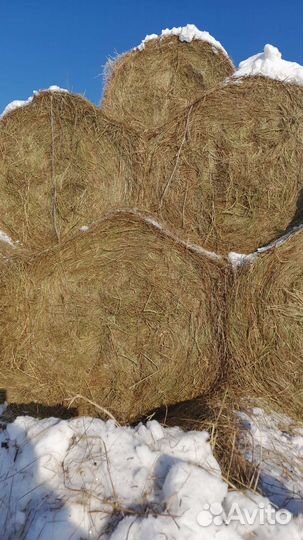 Сено в рулонах