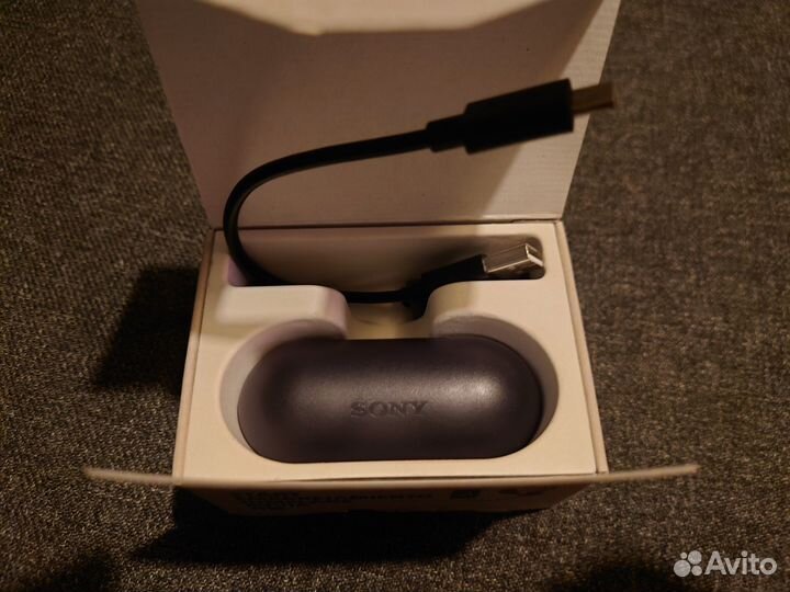 Sony WF-C500