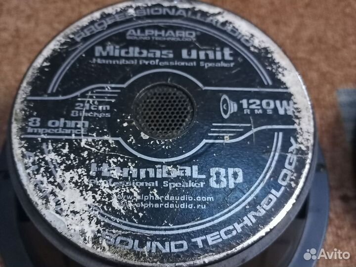 Динамики 21 см