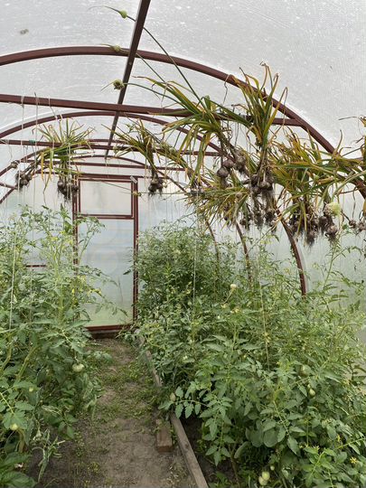 Дача 18 м² на участке 8 сот.