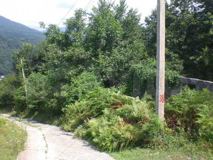 Участок 5 сот. (СНТ, ДНП)