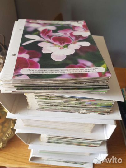 Цветы дома, коллекция альбомов