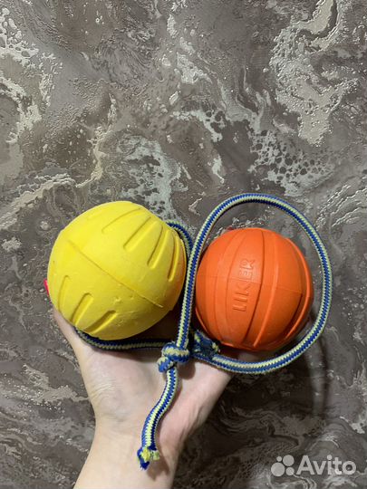 Амуниция,игрушки,лакомства для собак
