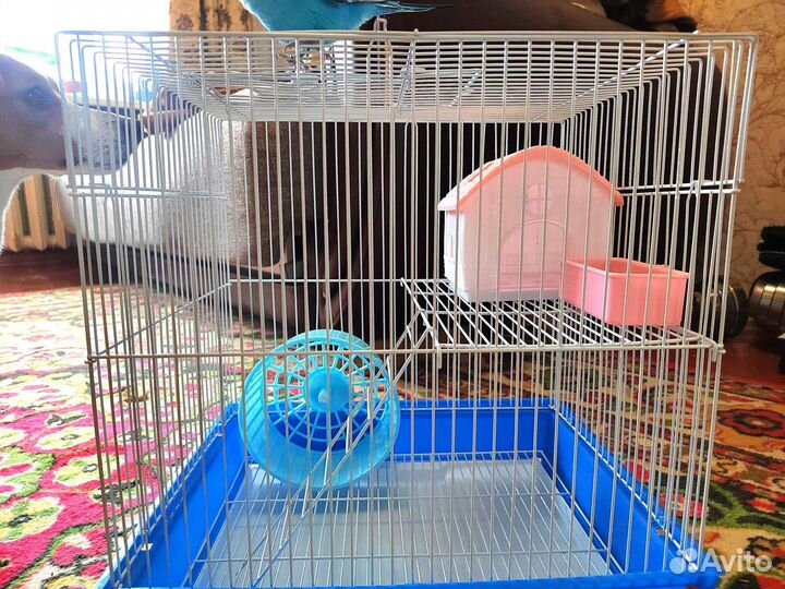 Клетка для грызунов