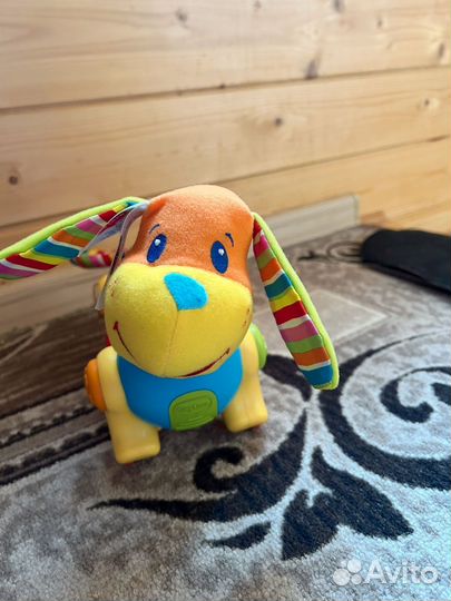 Собака Yiny Love