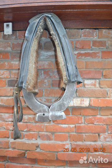 Керосиновая лампа, хомут и чесало