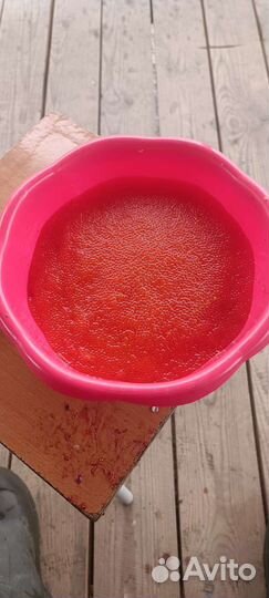 Икра красная хариуса