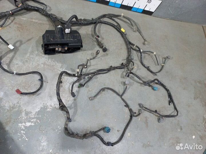 Проводка (коса) Honda Cr-V 4