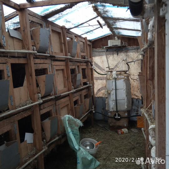 Мини ферма для разведения кроликов