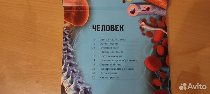 Книга по анатомии человека, для детей