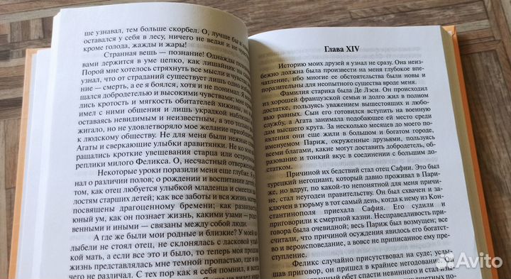 Книга М. Шелли 