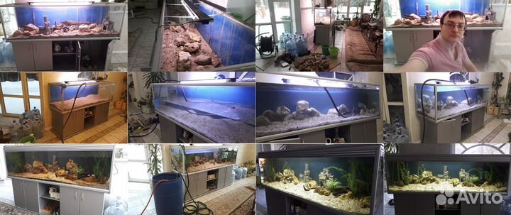 Обслуживание аквариумов в офисы, школы, квартиры