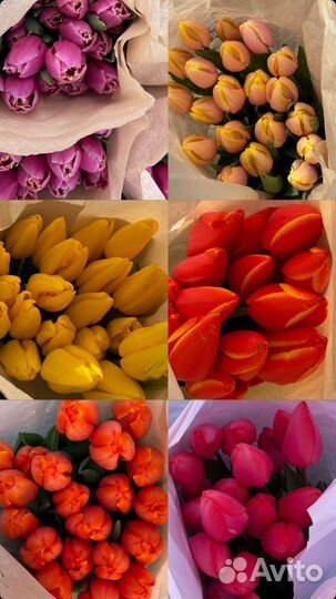 Тюльпаны