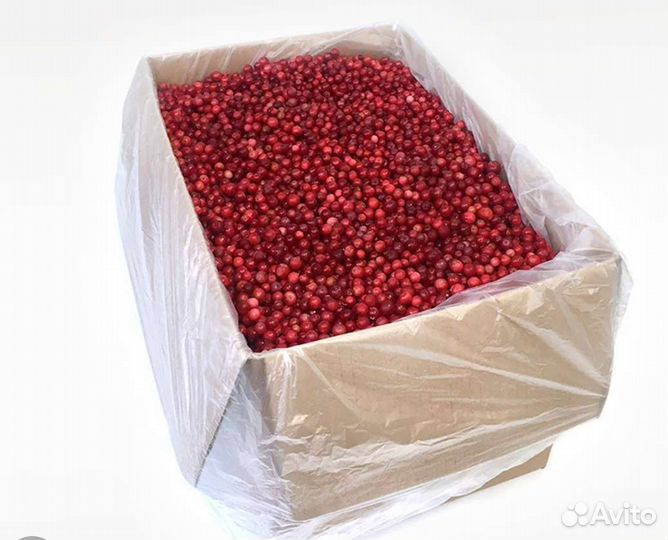 Вишня (Ягоды и Овощи)