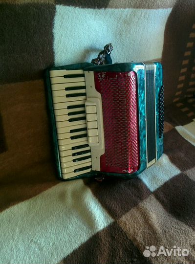 Аккордеон 1/2
