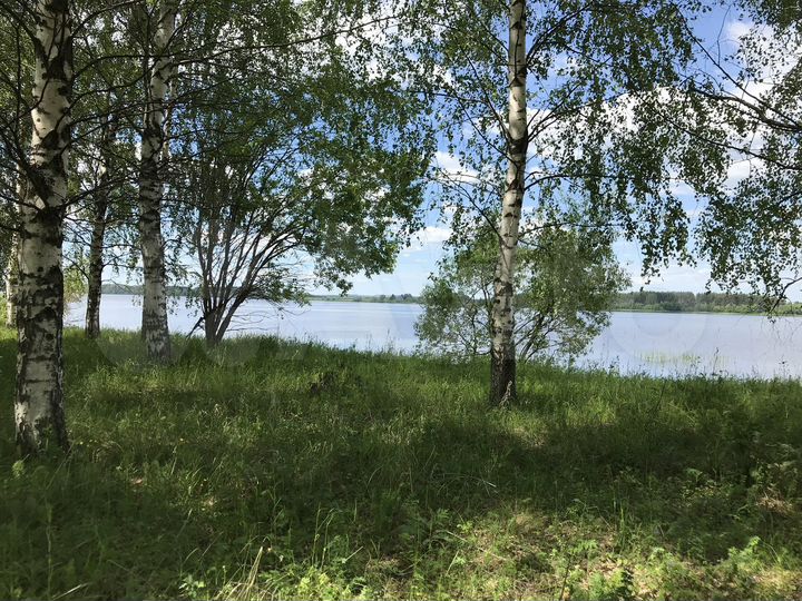 Участок 15,7 сот. (СНТ, ДНП)