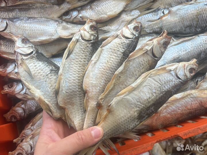 Вобла вяленая с икрой