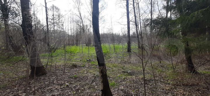 Участок 12 сот. (ИЖС)